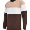 Earth Color-Block Sweatshirt
